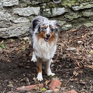 Meet your Posher, Madelene